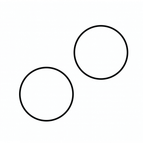 O-Ring Maxi-Jet Micro (2 Stück)